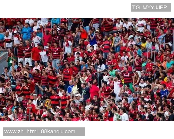 世界杯足球场面积对比赛环境和观众体验的影响分析